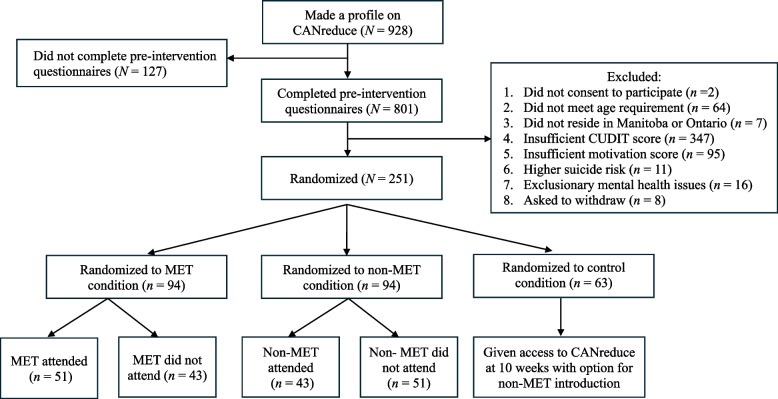 Trial flow chart