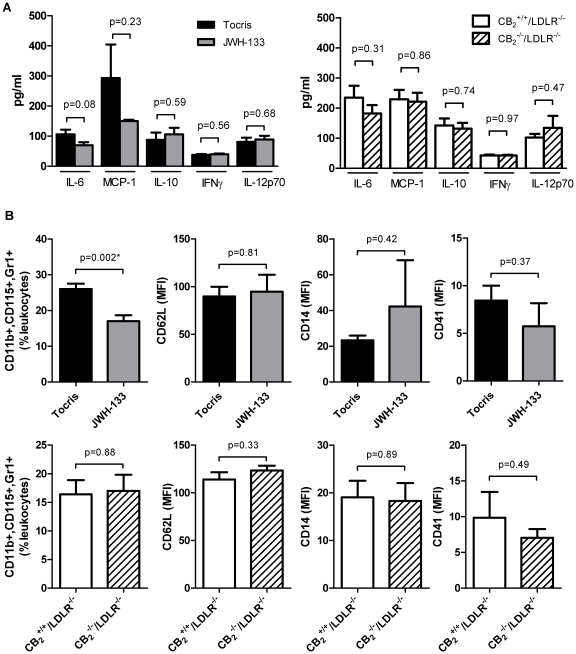 CB2 receptor stimulation or CB2 receptor deficiency does not affect inflammatory cytokine expression.A, LDLR−/− mice treated intraperitoneally with 5 mg/kg JWH-133 or vehicle control (Tocris, N = 6 each) for 10 days were challenged with 200 ng TNFα for 4 hours. Subsequently, serum samples were analyzed for IL-6, MCP-1, IL-10, IFNγ, and IL-12p70 by cytometric bead array. In parallel, experiments the same analytes were quantified in CB2 −/−/LDLR−/− mice and CB2 +/+/LDLR−/− control animals after challenge with 200 ng TNFα for 4 hours (N = 5 each). Data represent mean ± SEM. B, Blood cells obtained from the animals treated as described above were quantified by FACS analysis for expression of CD11b, CD115, Gr-1, CD62L, CD18, CD14, and CD41. Data represent mean fluorescent intensity or per cent of leukocytes ± SEM where appropriate. Asterisks indicate significant change, defined as p<0,05.