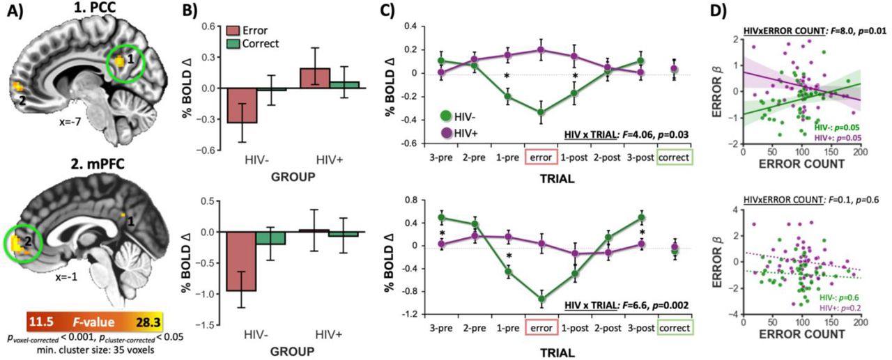 HIV+ vs. HIV-group differences in error-related brain activity.A) HIV main effects were observed in the posterior cingulate cortex (PCC, 39 voxels) and medial prefrontal cortex (mPFC, 36 voxels; whole-brain HIV x CB ANOVA, pcorrected<0.05) when considering NoGo correct vs. error [C-E] contrast values. B) Qualitative inspection of BOLD signal change within identified ROIs indicated that, during errors (red bars), the HIV- (vs. HIV+) group displayed more deactivation in the PCC (1) and mPFC (2). C) β coefficients during NoGo-errors, and the three Go trials both preceding (1-pre, 2-pre, and 3-pre) and following a NoGo-error (1-post [awareness trial], 2-post, 3-post) plotted sequentially with respect to NoGo-correct β coefficients for comparison. We detected HIV x TRIAL interactions for the PCC (pBonferronni-corrected=0.03) and mPFC ROIs (pBonferronni-corrected=0.002; NoGo-error and NoGo-correct β coefficients were not included in this statistical test to avoid circular analyses). Qualitative inspection indicated that both PCC and mPFC activity among HIV-participants displayed a deactivation the trial before an error, showed the most deactivation following errors, and that this deactivation persisted into the next trial. In contrast, PLWH showed relatively little modulation of ROI activity across the various trials (*’s indicate significant difference between HIV groups in follow-up t-tests). D) Significant HIV x ERROR COUNT interactions on error-related PCC [E] β coefficients (F[1,99]=6.0, pBonferronni-corrected =0.01). Among HIV-participants, more PCC deactivation following errors correlated with fewer NoGo errors, whereas among PLWH the opposite pattern was observed. See Supplemental Table S9 for cluster coordinates.