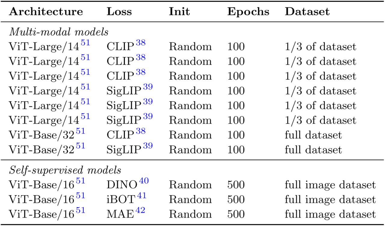 Model ensemble composition.Each model contributes distinct feature representations to the final SkinMap space.