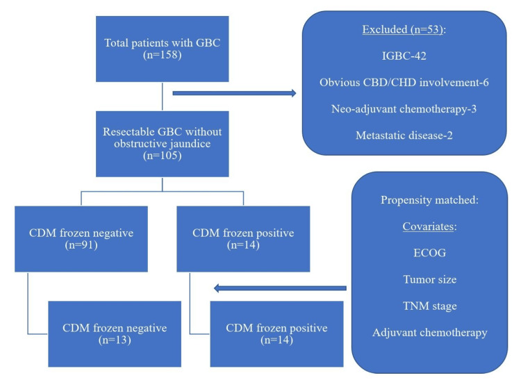 Flowchart showing the selection of the study population.GBC: gallbladder cancer; IGBC: incidental gallbladder cancer; CBD: common bile duct; CHD: common hepatic duct; CDM: cystic duct margin; ECOG: Eastern Cooperative Oncology Group; TNM: tumor-node-metastasis