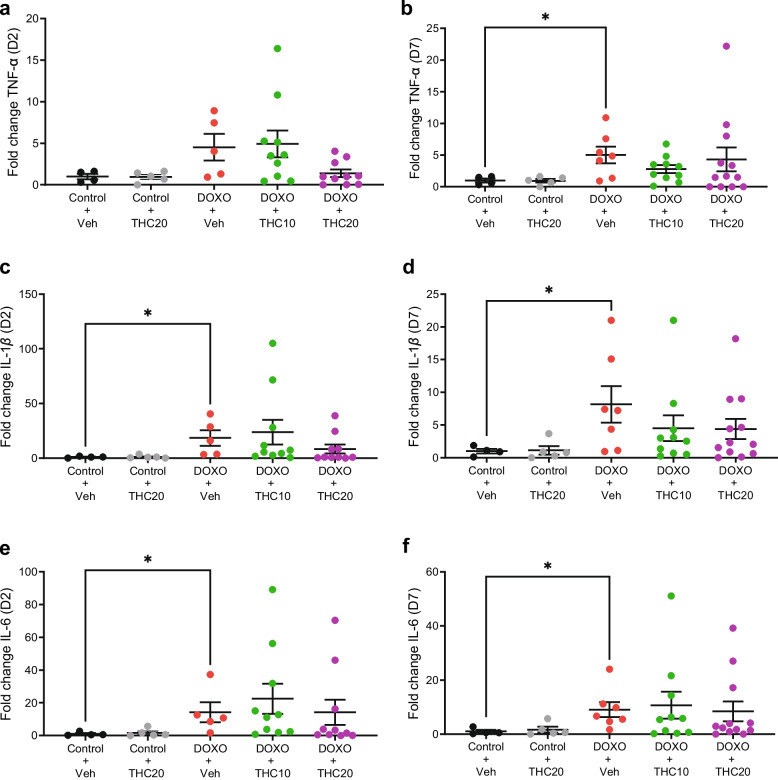 Effects of THC on expression of pro-inflammatory cytokines determined by qRT-PCR in doxorubicin-treated animals. (a, b) jejunal expression of TNF-alpha, (c, d) jejunal expression of IL-1 beta, (e, f) jejunal expression of IL-6 at day 2 and day 7 respectively. Note the difference in the y-axis scale among the cytokines. Veh = vehicle treatment, THC10 = 10 mg/kg THC, THC20 = 20 mg/kg THC. Data are shown as relative gene expression in the mean fold change ± SEM. *p < 0.05