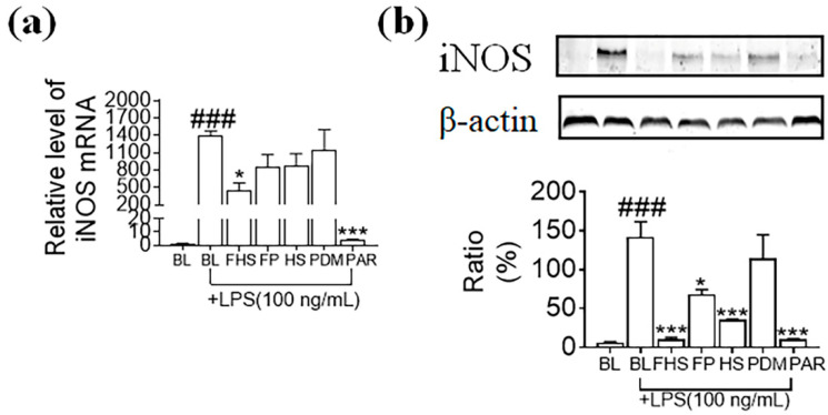 Effects of FHS, FP, HS, and PDM on iNOS at mRNA and protein expression levels. (a) mRNA expression of iNOS was amplified by Real-Time PCR (n = 3). Cells were incubated with FHS, FP, HS, and PDM for 1 h and then were incubated with LPS for another 4 h. (b) The protein expression of iNOS was quantified by western blot (n = 3). Cells were incubated with FHS, FP, HS, and PDM for 1 h, and then incubated with LPS for another 24 h. The protein expression was standardized with β-actin. BL, medium without the addition of extracts; FHS, fermented hemp seed-containing medium’s supernatant of Day 7; FP, fermented regular PDB medium’s supernatant of Day 7; HS, unfermented hemp seed-containing medium’s supernatant; PDM, unfermented regular PDB medium’s supernatant. ### p < 0.001 vs. the control group; * p < 0.05, *** p < 0.001 vs. the LPS-treated group.
