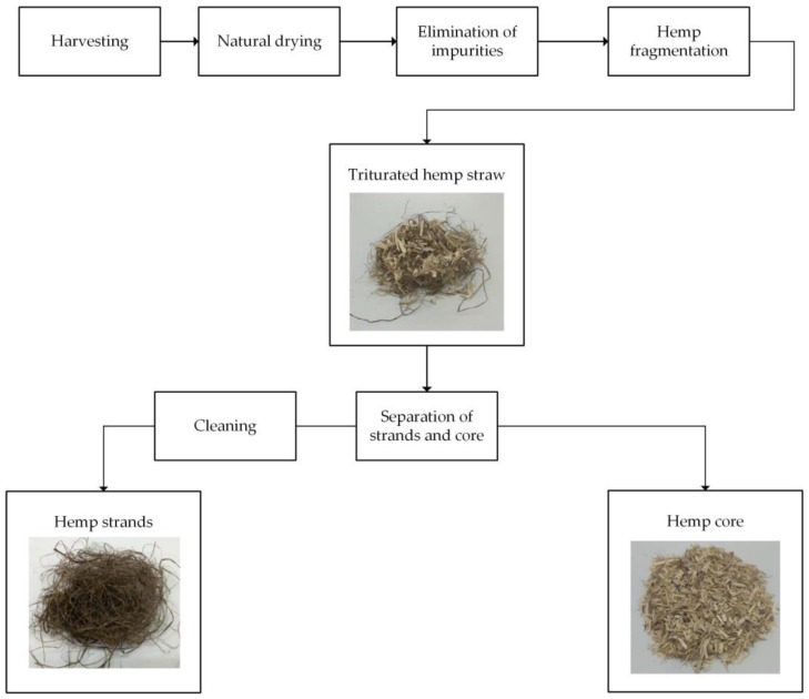 Process used to obtain hemp fibers.