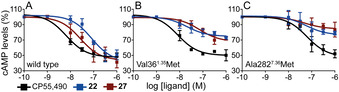 Decrease of forskolin‐induced cAMP (normalized to 100 %), in HEK‐293T cells, upon stimulation of wild type CB2R (A) and Val361.35Met (B) and Ala2827.36Met (C) mutant receptors with the CP55,940 agonist and ligands 22 and 27.