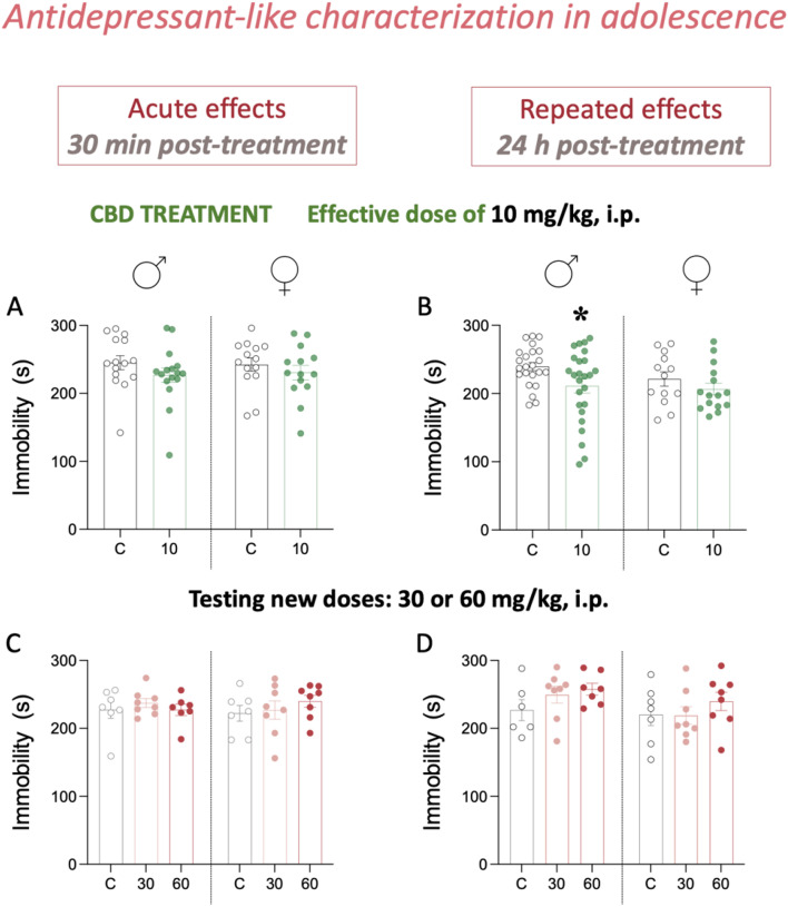 Antidepressant-like effects of cannabidiol in adolescence. (A-B) Validating the effective dose of 10 mg/kg of cannabidiol (CBD, ip) after an (A) acute dose (30 min post-treatment), or a (B) repeated treatment (7 doses, 1 dose per day; 24 h post-treatment) as measured under the stress of the forced-swim test (FST) in adolescent rats of both sexes. (A) Groups of treatment: Acute effects (30 min post-treatment): male-C (n = 15); male-CBD-10 (n = 16); female-C (n = 14); female-CBD-10 (n = 14). (B) Groups of treatment: Repeated effects (24 h post-treatment): male-C (n = 23); male-CBD-10 (n = 25); female-C (n = 13); female-CBD-10 (n = 15). (C-D) Testing new doses (30 or 60 mg/kg, ip.) of cannabidiol (ip) after an C acute dose (30 min post-treatment), or a (D) repeated treatment (7 doses, 1 dose per day; 24 h post-treatment). (C-D) Groups of treatment: male-C (n = 7); male-CBD-30 (n = 8); male-CBD-60 (n = 7); female-C (n = 7); female-CBD-30 (n = 8); female-CBD-60 (n = 8). Note that the same rats were assessed following the acute and repeated treatment. (A-D) Data represent mean ± SEM of the time spent immobile (s). Individual values are shown for each rat (symbols). Two-way ANOVAs (independent variables: sex, treatment). Post-hoc comparisons through Dunnett’s test when appropriate: **p < 0.05 vs. male-C