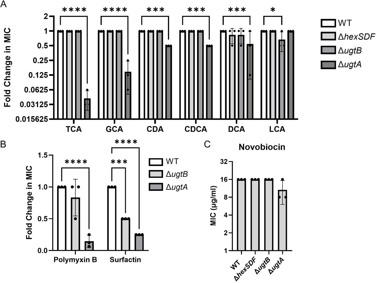 Model of glycolipid synthesis in C. difficile. UgtA synthesizes MHDRG, the precursor for all other glycolipids. UgtB synthesizes DHDRG using MHDRG as a substrate. UgtB may processively synthesize THDRG from DHDRG. We hypothesize that HexS adds N-acetyl-hexose to MHDRG to make a HNHDRG intermediate HNacHDRG, which then gets flipped to the outside of the cell by HexF or other flippases, and finally deacetylated by HexD to form HNHDRG. The localization of the glycolipids has not been experimentally determined, and if MHDRG, DHDRG, and THDRG exist on the outer leaflet of the membrane, the flippases involved are currently unknown.