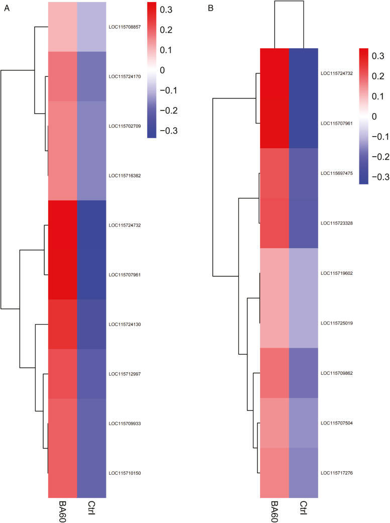 Alt Text: The graph shows the clustering of up-regulated genes in flavonoids and phenylpropane biosynthesis, which are closely related to feminization.