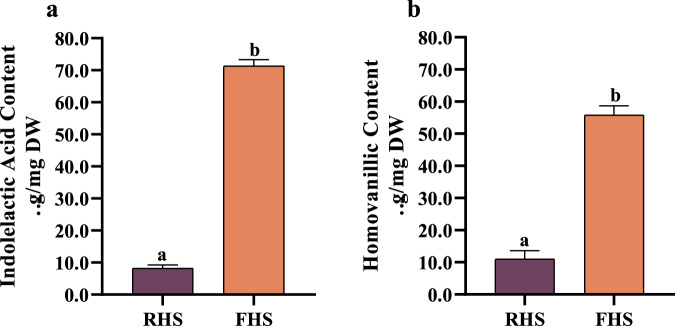 Quantitative analysis of indolelactic acid (IA) and homovanillic acid (HVA).a The content of IA in RHS (raw hemp seeds) and FHS (L. plantarum fermented hemp seeds) groups. b The content of HVA in RHS and FHS groups. The data are presented as the mean ± SD (n = 3). Different lowercase letters represent a significant difference (p < 0.05).