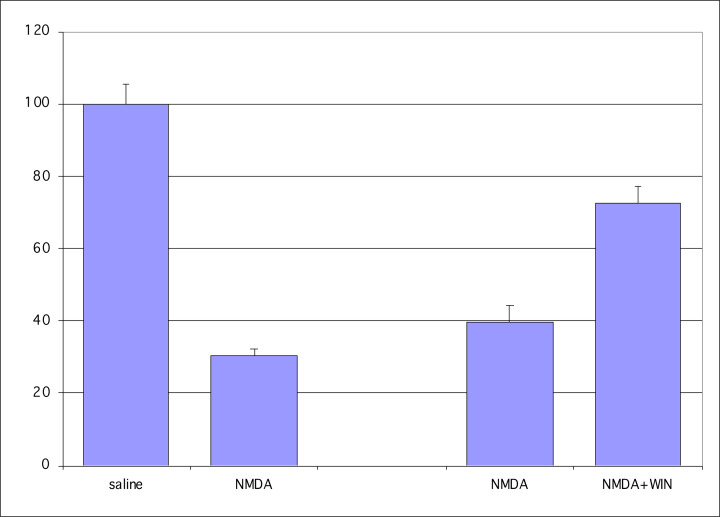 Percent of RGCsSaline served as the control (100%) against which NMDA was compared (30%). In the mice treated with NMDA versus NMDA+WIN 55,212-2, the mice injected with NMDA had ∼30% of their RGCs remaining, and the addition of WIN55,212-2 in the injection increased the remaining RGCs to ∼70%.