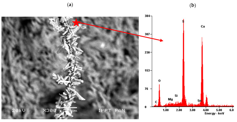 A single sheep wool fibre completely overgrown with gypsum crystals: (a) SEM microphotograph and (b) EDS analysis: S-Sulphur, Ca-Calcium, Si-Silicon, Mg-Magnesium, O-Oxygen (scanning electron microscope, scale bar = 50 µm).