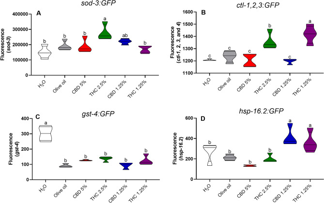 Antioxidant enzymes expression by green fluorescent protein (GFP) in C. elegans Sod-3:GFP mutant strain expressing superoxide dismutase (A), Cat-1,2,3:GFP mutant strain expressing catalase (B), Gst-4:GFP mutant strain expressing glutathione-S-transferase (C), and Hsp-16.2:GFP mutant strain expressing heat shock protein (D). Data are expressed by the mean ± standard error (SEM). Means followed by the same letter are not significantly different according to Tukey’s test (p > 0.05).