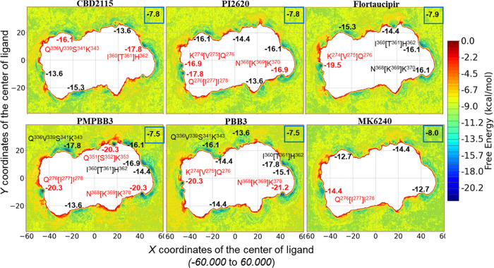 Binding sites and free energy profiles from the 4.5-μs well-tempered metadynamics simulations for 6 selected tracers in PSP protofibrils. CV1: the X coordinates of the ligand centroid; CV2: the Y coordinates of the ligand centroid. The averaged free energy of the tracer in the solvent and the lowest free energy of some local minima are given in bold numbers with and without a blue frame box, respectively. The free energies of some top-ranked local minima are colored in red, with the label of their binding site configuration marked also in red. The orientation of the PSP protofibril is identical to the one depicted in Figure 1.