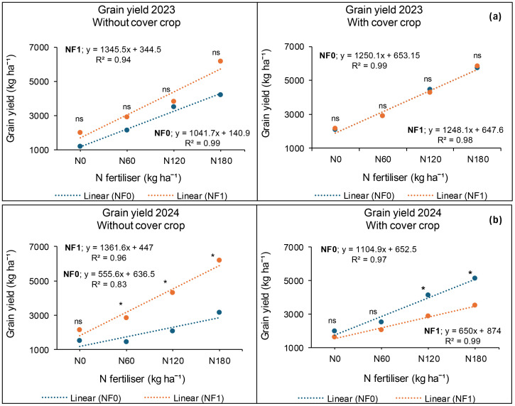 Four scatter plots with linear regression lines show grain yield in kilograms per hectare versus nitrogen fertilizer levels in kilograms per hectare, for 2023 and 2024, with and without cover crops. Each graph compares two treatments, NF0 and NF1, with their respective linear equations and R-squared values. Data points are marked with “ns” or an asterisk to indicate significance.