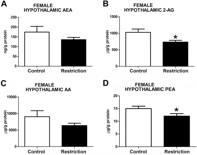 Endocannabinoid and endocannabinoid-related lipid levels in the hypothalamus of female offspring at birth.Anandamide (AEA), 2-arachidonoylglycerol (2-AG), arachidonic acid (AA) and palmitoylethanolamide (PEA) levels in the hypothalamus of female offspring (A-D) from control dams (n = 10) and calorie-restricted dams (n = 10) at birth (open bars and solid bars, respectively). Values are expressed as mean +/- SEM. Data were analyzed by Student´s t-test (B, D) or Mann Whitney´s U test (A, C): *p<0.05.