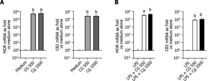 Modulation of analgesic-related receptors in HT-29 cells incubated with chitin-glucan at different concentrations, with or without lipopolysaccharide stimulation. A: Modulation of analgesic-related receptors in non-stimulated HT-29 cells incubated for 3 h in medium alone (medium), chitin-glucan at 500 microgram per milliliter [chitin glucan (CG) 500, grey], or chitin-glucan at 1000 microgram per milliliter (CG 1000, dark grey); B: Modulation of analgesic-related receptors in HT-29 cells stimulated during 24 h with lipopolysaccharide (LPS) and incubated 3 additional hours in medium alone (LPS), chitin-glucan at 500 microgram per milliliter (LPS + CG: 500, white), or chitin-glucan at 1000 microgram per milliliter (LPS + CG: 1000, black). aP < 0.05, bP < 0.01. MOR: Mu-opioid receptor; CB2: Cannabinoid receptor; CG: Chitin glucan; LPS: Lipopolysaccharide.
