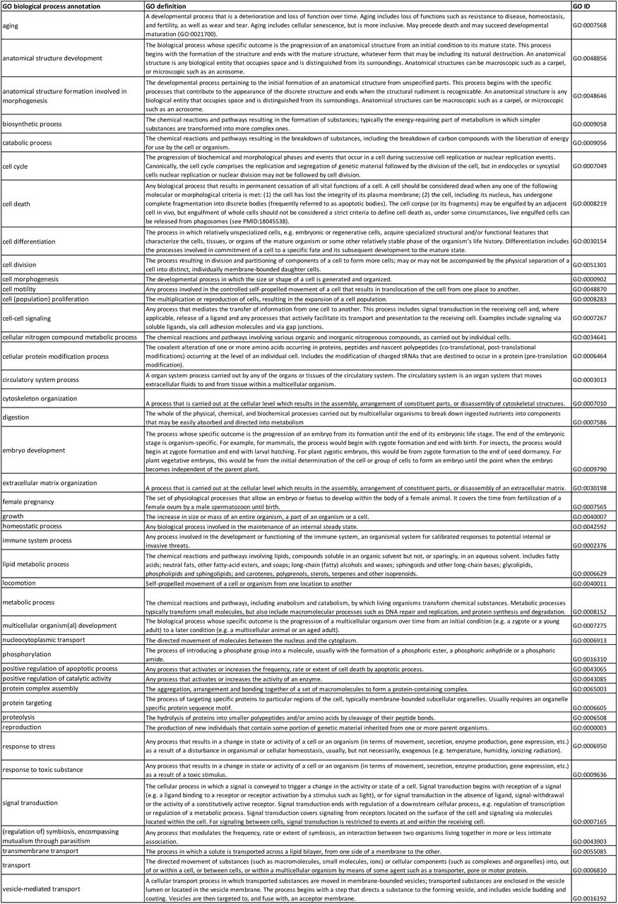 Summary of all GO biological process annotations that are annotated to the protein targets under study, including definitions for GO annotations and respective GO IDs (retrieved from https://www.ebi.ac.uk/QuickGO/ and http://www.informatics.jax.org/vocab/gene_ontology/).