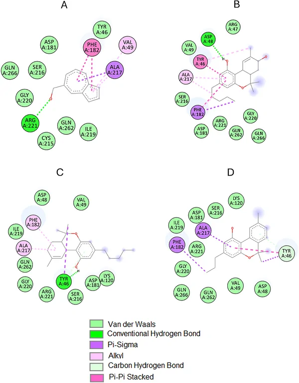 2D molecular interactions of C. sativa: (A) 5‐azulenemethanol, (B) 8‐hydroxy‐delta‐9‐THC, (C) 9‐tetrahydrocannabinol, (D) cannabivarin with PTP1B active site amino acid residues. Images generated using BIOVIA Discovery Studio V. 24.1.0.23298.