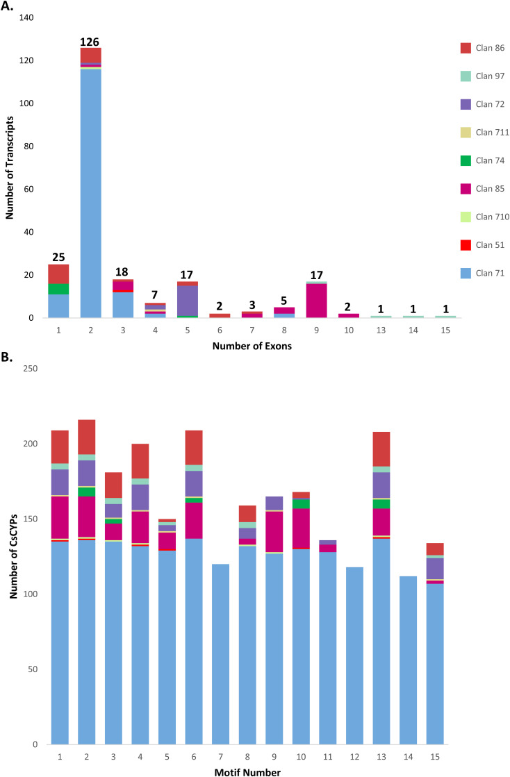 Structural analysis of C. sativa CYP clans. (A) Exon distribution patterns within CYP transcripts across nine clans. (B) Distribution of 15 conserved motifs across nine CYP clans.