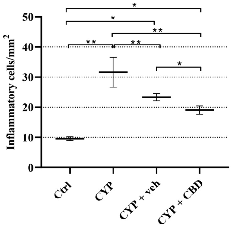Number of infiltrated inflammatory cells in the lamina propria of Ctrl (n = 4), CYP (n = 6), CYP + veh (n = 4), and CYP + CBD (n = 4) groups of mice. The number of inflammatory cells is normalised per mm2. Data are presented as mean values and standard deviations for each experimental group of mice. * p < 0.05; ** p < 0.01.