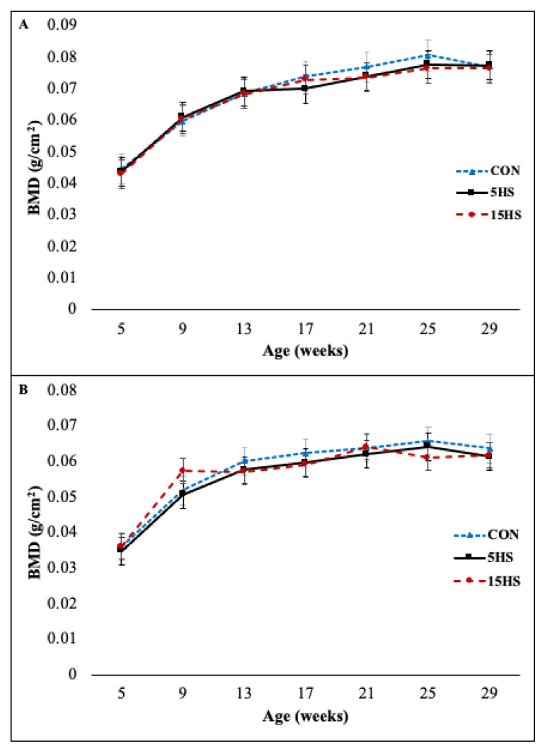 BMD of the right femur (A) and L5 vertebrae (B) with respect to age and diet group. Points represent mean BMD within a diet group and bars represent SEM of BMD within a diet group.