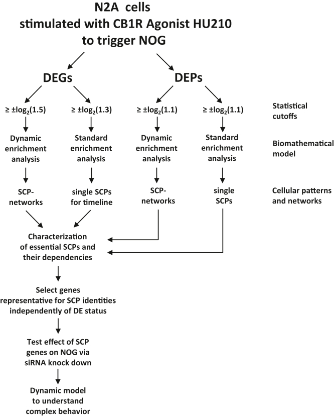 Flow chart about data analysis and validation. See main text for details.
