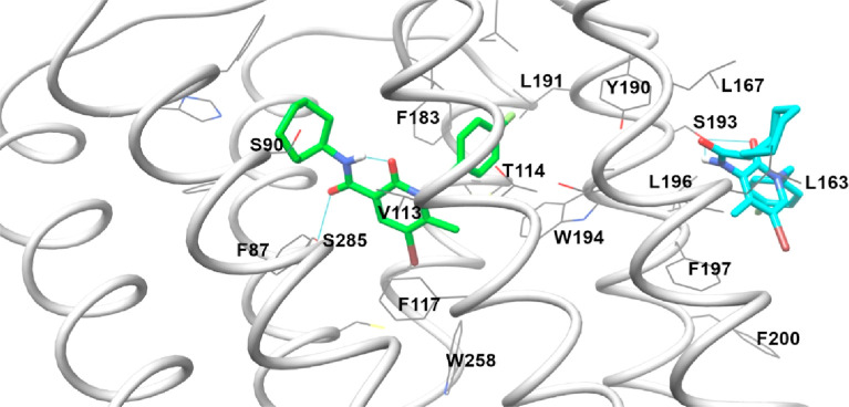 Results of FM-6b (green colored) and EC-21a (cyan colored) docking in the 6PT0 structure.