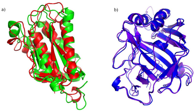 This image depicts the superposition of the final frames of molecular models representing (A) a region identified as L1R, comparing the protein alone in red to its complex with the trans-CBT in green, with the ligand omitted, and (B) a region identified as E8L, contrasting the protein alone in purple to its complex with the trans-CBT in blue, also with the ligand omitted.