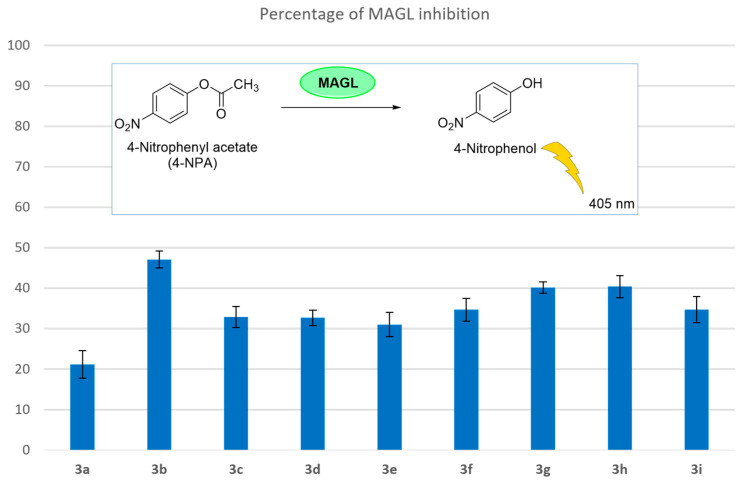 In vitro inhibitory activity (%) on hMAGL of derivatives 3a–i.