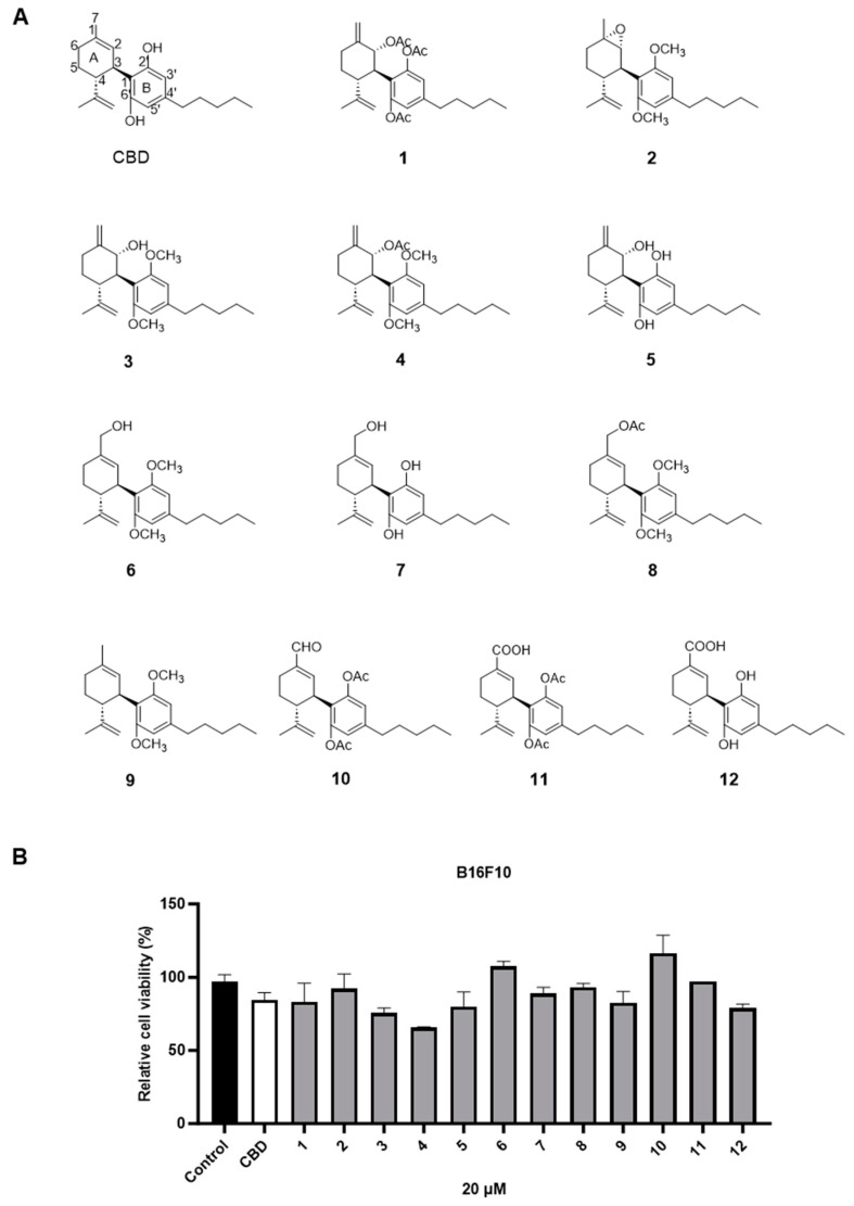 Chemical structures of CBD synthetic analogs 1–12 (A) and their effects on the cell viability of B16F10 melanoma cells at 20 µM (B).