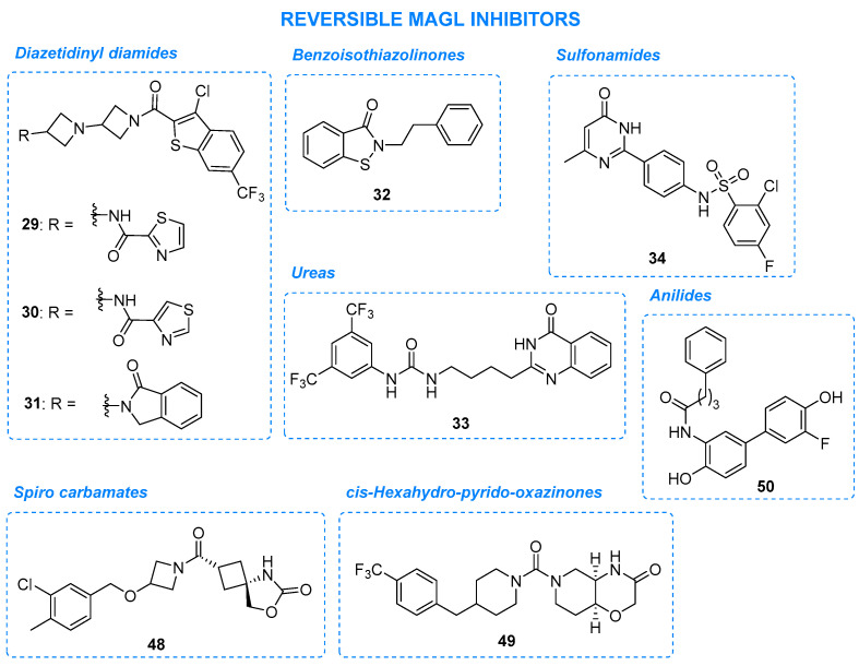 Synthetic reversible MAGL inhibitors, part 1.