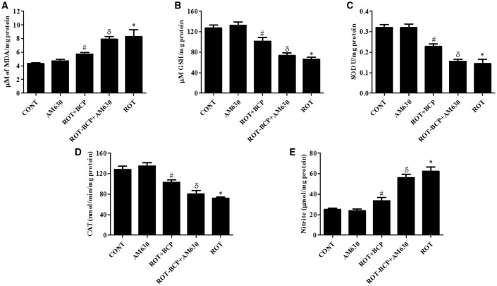 The levels of malondialdehyde (MDA), glutathione (GSH), superoxide dismutase (SOD), catalase (CAT), and nitrite in the midbrain tissue. Values are expressed as mean ± SEM (n = 6–8). ROT treatment caused significant (*p < 0.01) increase in MDA (A) and decrease in GSH level (B) in ROT challenged rats as compared to vehicle injected control (CONT) rats. BCP treatment of ROT challenged rats showed significantly (#p < 0.05) decreased level of MDA and increased (#p < 0.01) GSH level. However, CB2 antagonist AM630 administration prior to BCP treatment to ROT challenged rats significantly (δp < 0.05) augmented the level of MDA and GSH as compared to ROT+BCP group rats. The activity of the antioxidant enzymes: SOD (C) and CAT (D) was significantly (*p < 0.05) decreased and nitrite (E) level was increased in the ROT group rats as compared to CONT group rats. BCP treatment of ROT administered ROT+BCP group rats significantly (#p < 0.05) augmented the SOD and CAT activity and nitrite level in comparison to the ROT group. ROT-BCP+AM630 group rats showed significant (δp < 0.05) decline in SOD and CAT activity and rise in nitrite level as compared to ROT+BCP group rats.