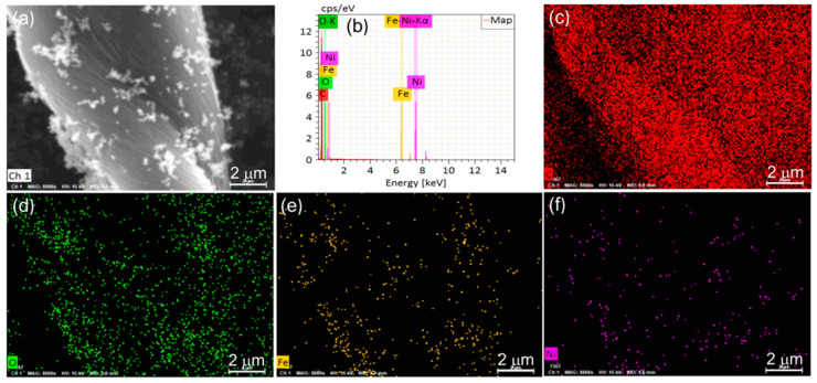 (a) SEM image, (b) EDX spectra, and (c–f) elemental mapping images of NiFe2O4/CCF-2.