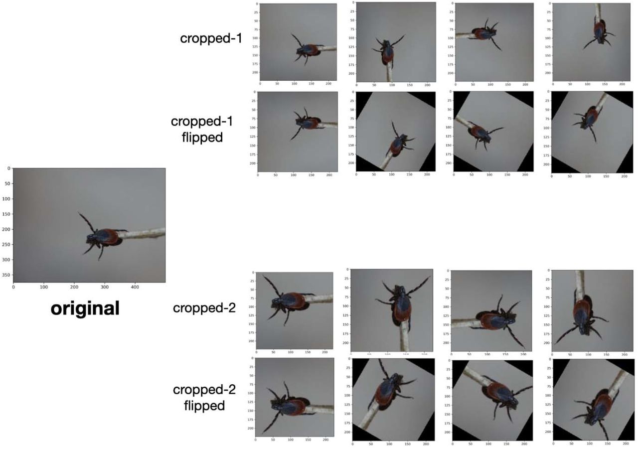 Image augmentation procedure to increase the size of the user-generated training dataset.Each image was re-cropped, flipped, and rotated to generate 15 visually distinct images. This process increased the size of the training dataset from 7,625 to 95,119 images.