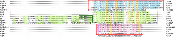 Multiple sequence alignment of the cell wall–binding domains of the 17 B. anthracis lysins. The alignment and the positioning of the particular domains were generated by ClustalW. Three distinct blocks, indicated by red frames, were proposed to encompass the most similar CBDs sharing analogous domain types, spanning from Block I at the top to Block III at the bottom of the alignment. Within each block, amino acid residues common to more than half of the aligned sequences are highlighted in blue, green, and pink. Yellow indicates the amino acid residues that are conserved across more than one block. Purple indicates the amino acid residues critical for the binding activity of PlyG to B. anthracis (Kikkawa 2007), which are repeated in the closely related lysins within the respective block. The sequences of the short linkers connecting two CBDs in lysins Ply57, gp217, LysPW2, and LysBC17 are marked by green frames