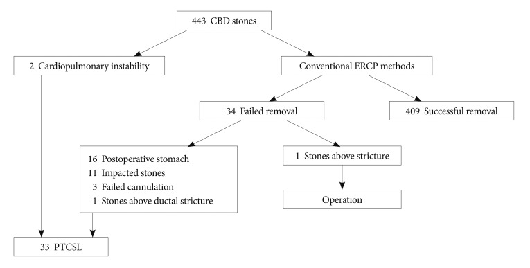 Flow diagram describes the treatment of 443 patients with common bile duct (CBD) stones. ERCP, endoscopic retrograde cholangiopancreatography; PTCSL, percutaneous transhepatic cholangioscopic lithotomy.