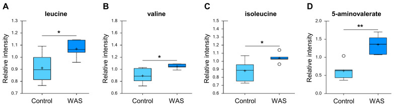 Effects of acute WAS on branched amino acids and lysine metabolism. Measurements of the brain content of branched amino acids (A–C) and 5-aminovalerate (D). * p < 0.05, ** p < 0.01 (Welch’s two-tailed t-test).