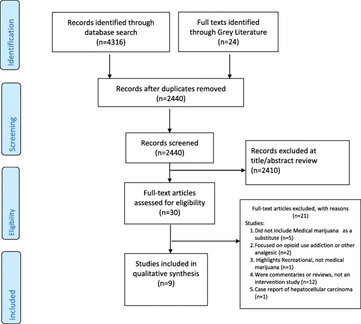 Detailed study selection process
