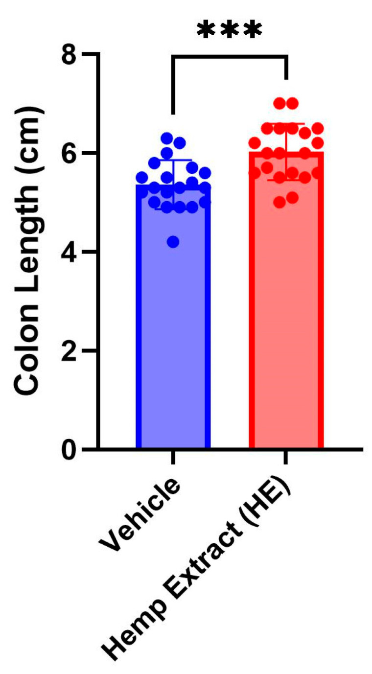 Colon length measured on day 7 of the DSS treatment when inflammation is at the peak. The colon lengths in the cannabinoid-treated group are significantly lower than the vehicle-treated group (n = 20 mice/group, *** p < 0.005).