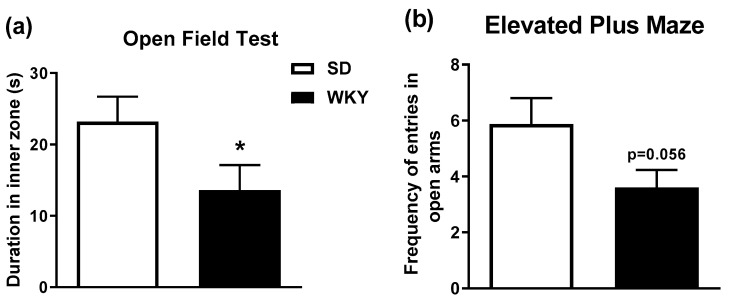 WKY rats display reduced (a) duration of time spent in inner zone in open field (* p < 0.05 vs. SD) and (b) frequency to enter the open arms of the elevated plus maze (p = 0.056). Data expressed as mean ± SEM (n = 15–16 per group).