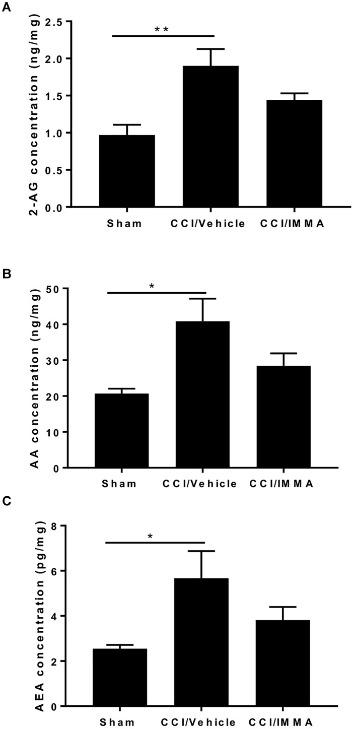 IMMA treatment did not affect the increased levels of 2-AG, AA, and AEA in the CCI mouse sciatic nerve. Fresh sciatic nerve tissues from CCI mice 7 days after surgery were subjected to LS-MS/MS. The amount of 2-AG (A), AA (B), and AEA (C) was significantly increased in the CCI/vehicle group compared to the sham (∗p < 0.05 and ∗∗p < 0.01. n = 8/group). IMMA treatment slightly reduced the increased production of 2-AG, AA, and AEA elicited by CCI (A–C). One-way ANOVA was used for comparing the differences among the sham, vehicle and IMMA treated groups. The Tukey-Kramer post hoc test was used for the comparison.