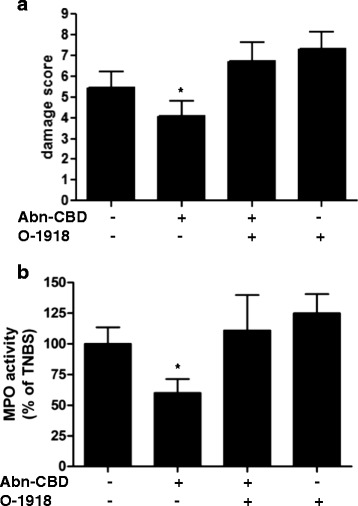 The effects of Abn-CBD treatment on macroscopic damage score and MPO activity. TNBS-treated mice were given O-1918 (5 mg/kg) and/or Abn-CBD (5 mg/kg) twice daily for 3 days. Macroscopic damage score (a) and myeloperoxidase activity (b) were determined at the end of the experiment, 24 h after the last dose of drug. Abn-CBD significantly reduced macroscopic damage and MPO activity, and effect that was blocked by O-1918. Data were analyzed with one-way ANOVA with Tukey’s post-hoc test. *, p < 0.05 when compared to control and Abn-CBD + O-1918 (a and b) and when compared to O-1918 (b); n ≥ 10/group