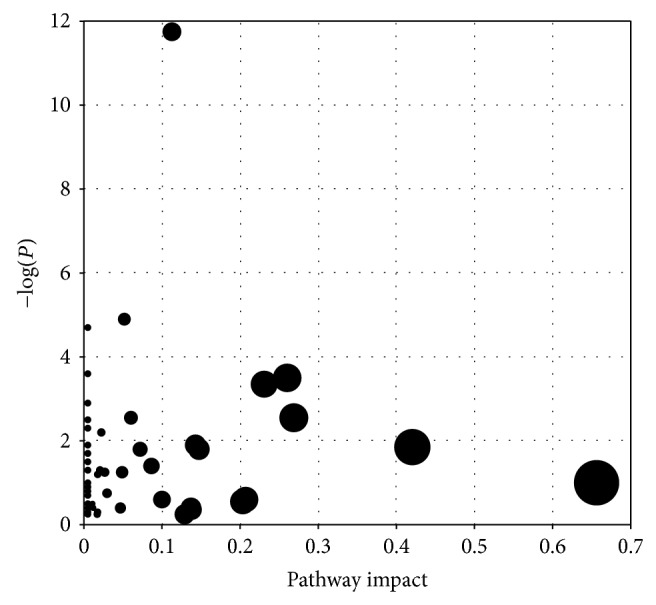 Summary of pathway analysis.