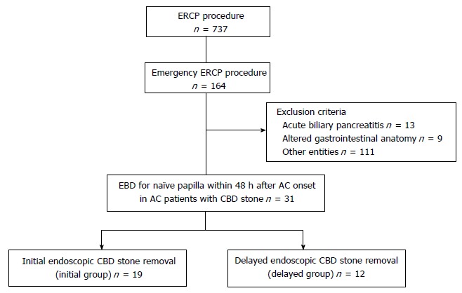 Flow diagram of patient selection process. ERCP: Endoscopic retrograde cholangiopancreatography; EBD: Endoscopic biliary drainage; AC: Acute cholangitis; CBD: Common bile duct.