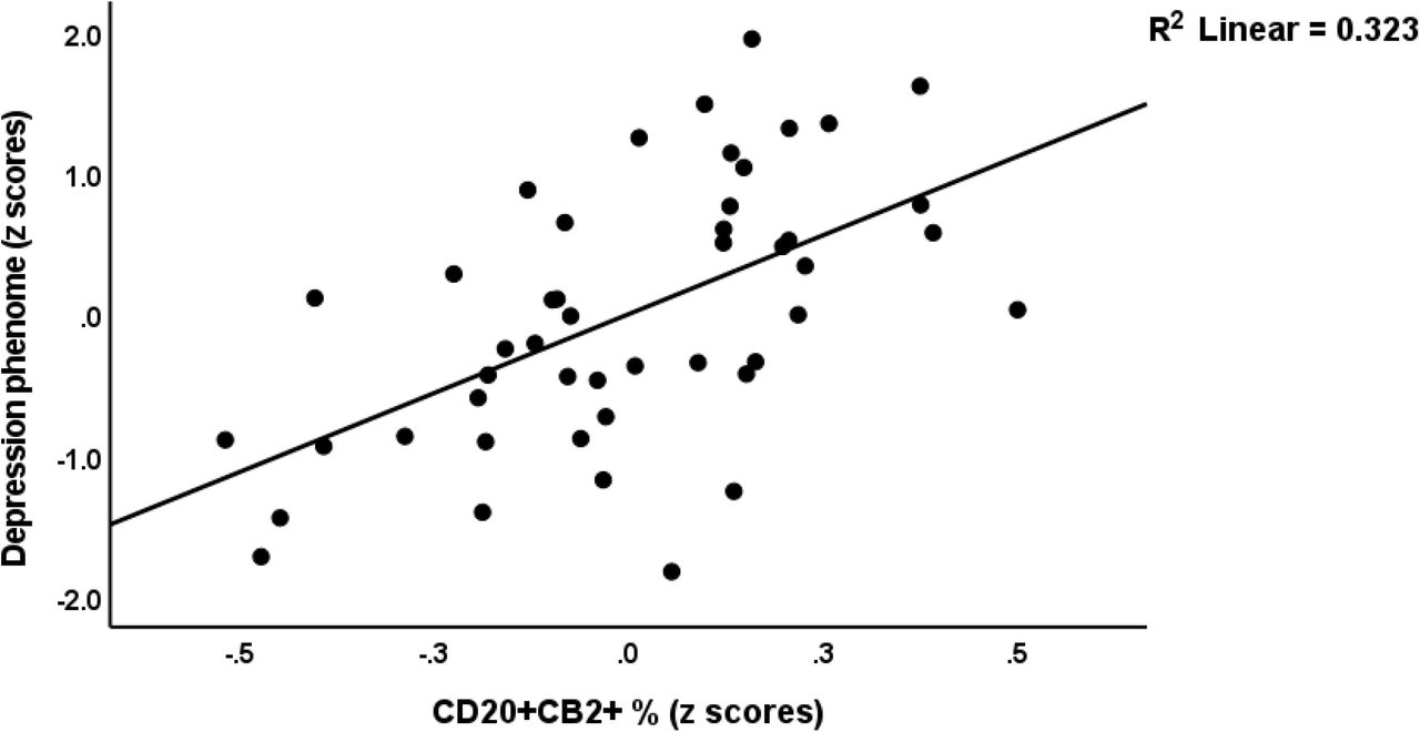 Partial regression of the depression phenome on stimulated CD20+CB2+ cells.