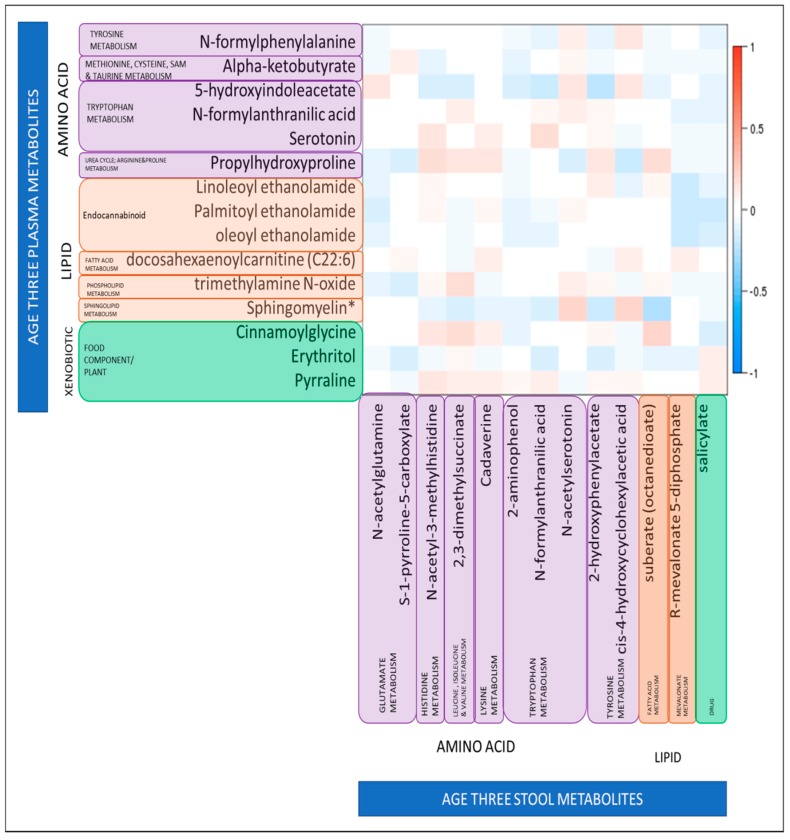Relationship between levels of 15 plasma metabolites identified as significantly associated with binary ASQ score at age three, and 13 stool metabolites identified as significantly associated with binary ASQ score at age three. Relationships are quantified by Spearman’s Correlation Coefficients; color indicates direction of correlation (red is a positive correlation, blue is a negative correlation), darker shades indicate the significance of the association. White indicates no significant correlation. * Sphingomyelin (d18:1/25:0, d19:0/24:1, d20:1/23:0, d19:1/24:0).