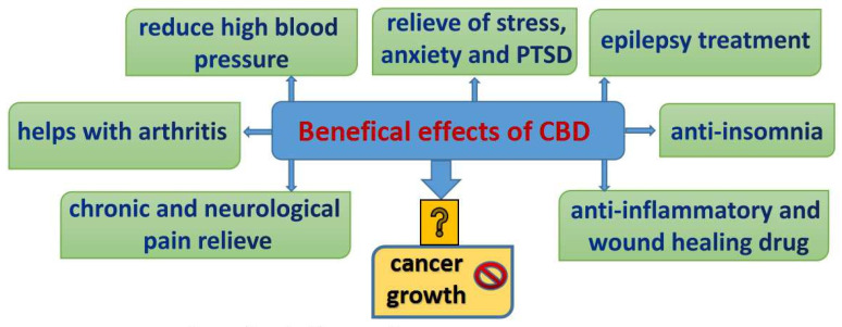 Major beneficial effects of CBD usage [37,38,39,40].