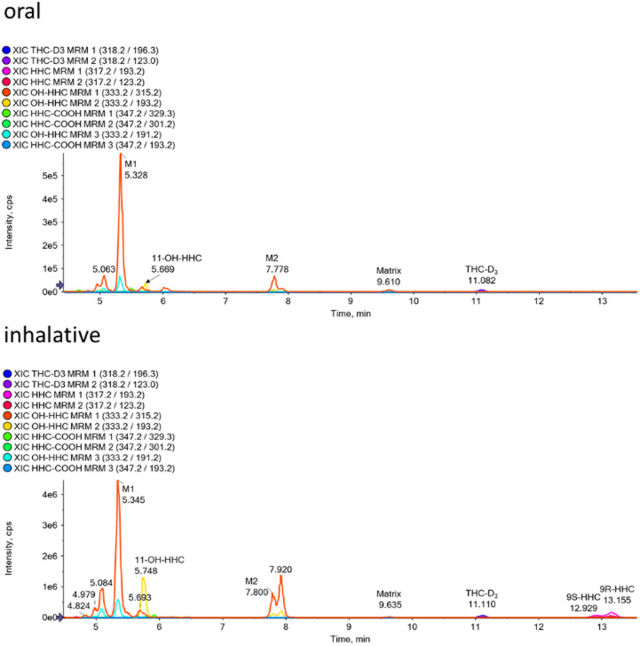 Extracted ion chromatograms of deglucuronidated urine samples from the participant O2, 2 h after the oral ingestion of HHC (top) and from the participant I2, 1 h after the inhalation of HHC (bottom) using the LC-QqLIT method in Bern.