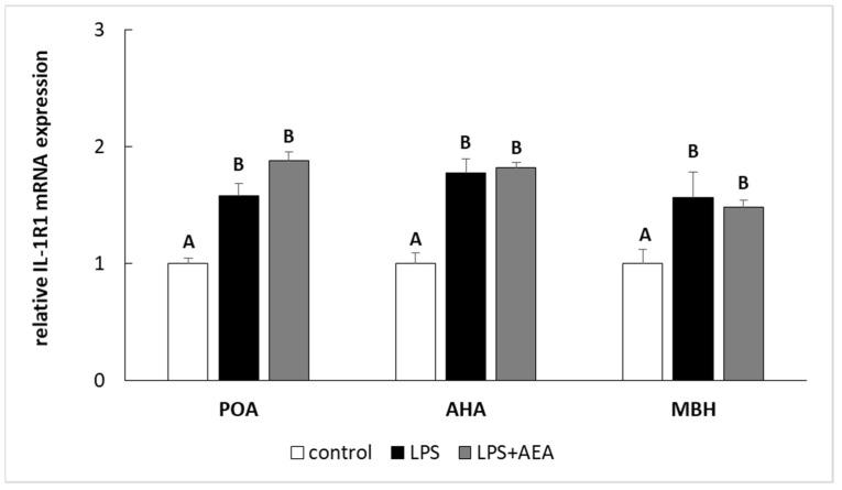 The effect of intravenous (i.v.) anandamide (AEA) injection (10 µg/kg; i.v.) and lipopolysaccharide (LPS)-induced inflammation (400 ng/mg; i.v.) on the relative receptor type I interleukin 1 (IL-1R1) mRNA level in preoptic area (POA), anterior hypothalamus (AHA), and medial basal hypothalamus (MBH) normalized to the mean expression of three reference genes (GAPDH, HDAC1, ACTB—see Table 2). All data are presented as the mean value ± S.E.M. Different letters indicate significant (p < 0.05) differences according to a one-way ANOVA followed by Fisher’s least significance test.
