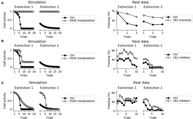 Effects on extinction of the manipulation of the DSI/E. (A) CeM activity during the two sessions of extinction in the control model (black dots) and in a model where DSI/E is inactivated (white dots) in the whole amygdala. As shown in real data from Marsicano et al. (2002) in the right graph, knockout mice for the endocannabinoid receptor CB1 are severely impaired in both within- and between-session extinction. (B) CeM activity during the two sessions of extinction in the control model and in a model where DSI/E is inactivated in CeM during the first session. In agreement with data from Kamprath et al. (2011), extinction is impaired in the first session but is spared in the second session. (C) CeM activity during the two sessions of extinction in the control model and in a model where DSI/E is inactivated in BA during the first session. The control and DSI/E-inactivated models have comparable levels of extinction in the first session, but the manipulated models shows a deficit in between-session extinction, in agreement with real data (Kamprath et al., 2011).